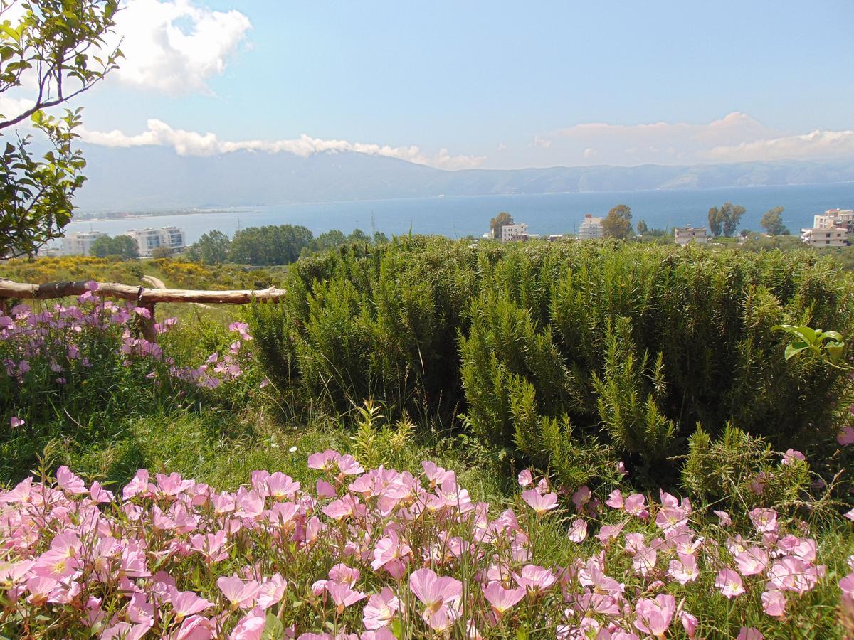 Residence Jazoj Vlore Bagian luar foto